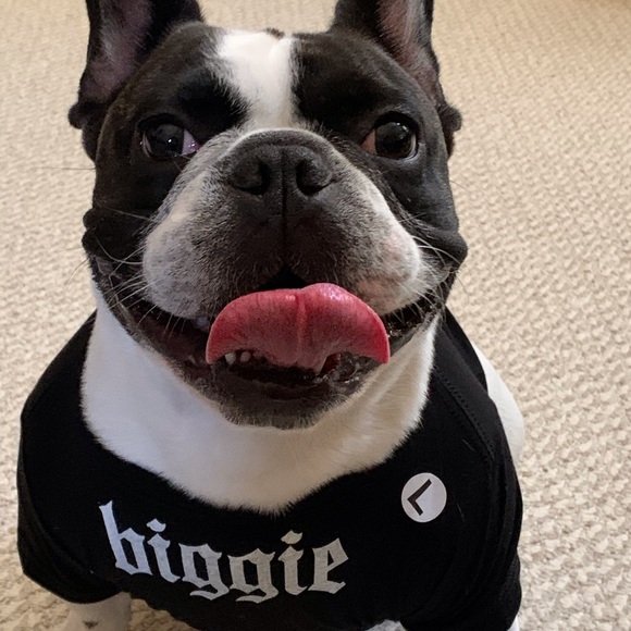Biggie dog shirt - Picture 3 of 5